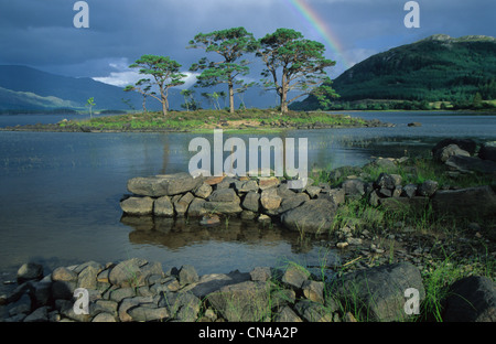 Loch Maree, Highlands, Scotland Foto Stock