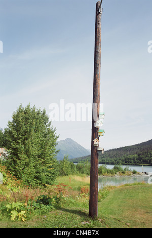 Birdhouses su un palo telefonico Seward, Alaska Foto Stock