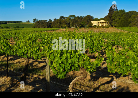 In Australia, in Sud Australia, Barrossa Valley, Lyndoch village, Château Barossa dispone di un giardino di 30 000 roses aperto nel Foto Stock