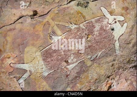 Australia, Territorio del Nord di Arnhem Land, mont Borradaile, Max Davidson Camp, artefatti grotta, pittura aborigena di Foto Stock