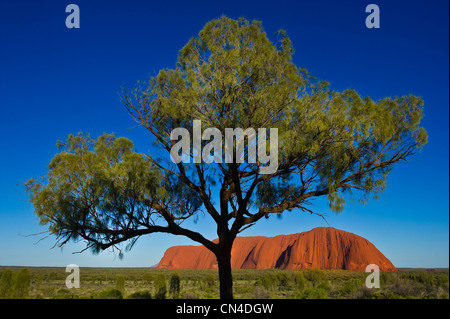 Australia, Territorio del Nord, Uluru-Kata Tjuta National Park sono classificati come patrimonio mondiale dall' UNESCO, Ayers Rock o Uluru , Foto Stock