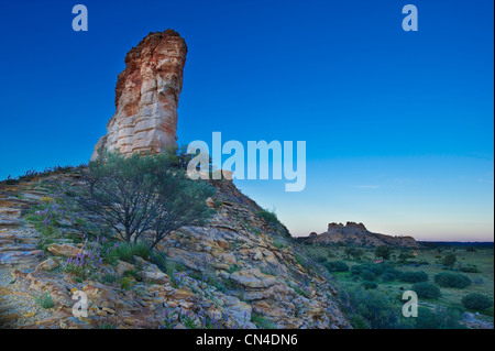 Australia, Territorio del Nord, Simpson Desert, Camere pilastro riserva storico, camere pilastro Foto Stock