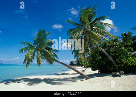 Francia, Polinesia francese, arcipelago sottovento, Bora Bora Foto Stock