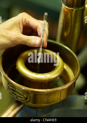 Francia, caratteristica: Margeon illumina il vino Foto Stock