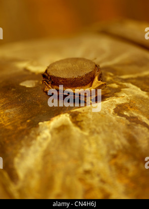 Francia, caratteristica: Margeon illumina il vino, spina cilindrica Foto Stock