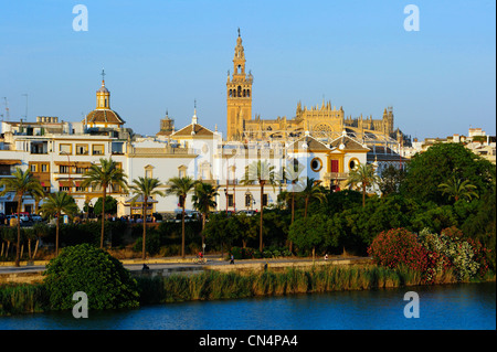 Spagna, Andalusia Siviglia, il fiume Guadalquivir banche, in primo piano Plaza de Toros e la Maestranza arene, durante le corride, in Foto Stock