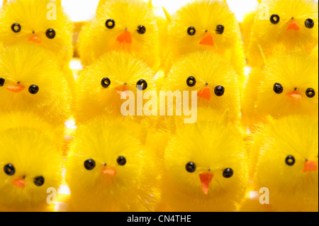 Un gruppo di pulcino di Pasqua decorazioni, close up Foto Stock