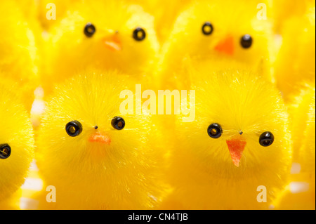 Pulcino di pasqua decorazioni, close up Foto Stock