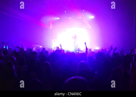 La folla ad un concerto, REGNO UNITO Foto Stock