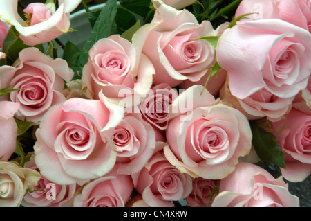 Mazzo di rose rosa. Fiori rosa tenue con foglie verdi. bouquet di fiori. Rose appena tagliate. Foto Stock
