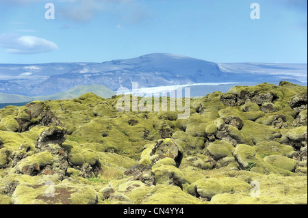 Campo di lava di Eldhraun, Islanda Foto Stock