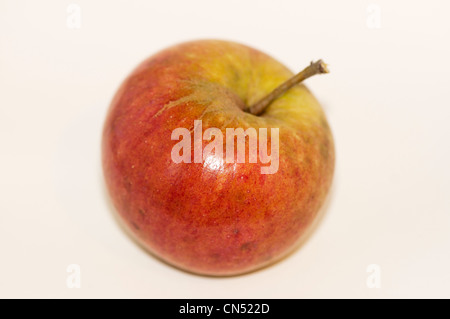 Apple cultivar, Cox's Orange Pippin Foto Stock