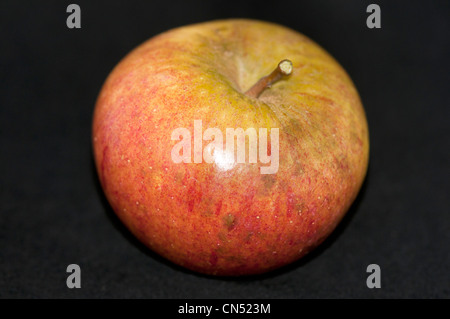 Apple cultivar, Cox's Orange Pippin Foto Stock