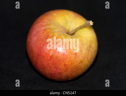 Apple cultivar, Cox's Orange Pippin Foto Stock