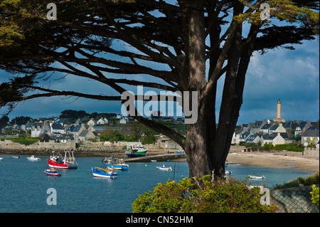 Francia, Finisterre, Iroise Mare, Iles du Ponant, Ile de Batz, Pors Kernoc porto e il faro Foto Stock