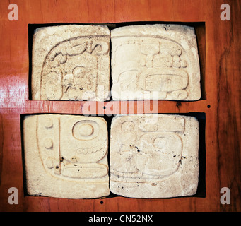 Una stele Maya sul display a livello regionale il museo di archeologia di Dolores, Peten; Guatemala. Foto Stock