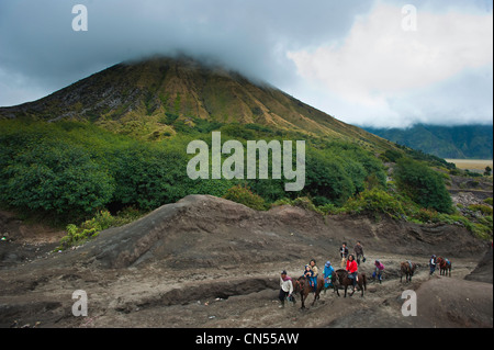 Indonesia, Java, Java Orientale Provincia, Bromo Tengger Semeru National Park, cavalieri porto turistico sulla sommità di Gunung Bromo cratere Foto Stock