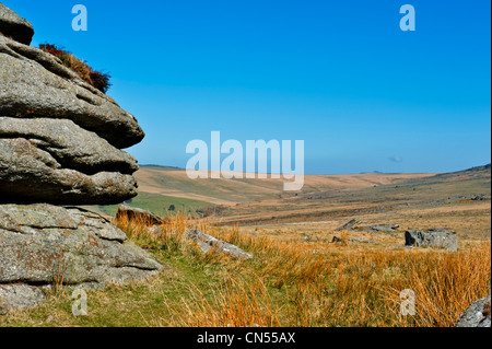 Kings Tor sul bordo occidentale del Parco Nazionale di Dartmoor con i tori di grande Mis Tor, pelle Sharpitor Tor Foto Stock