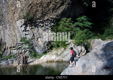 Francia, Ardeche, Massif du Tanargue, Monts d'Ardeche Parco Naturale Regionale, Jaujac, antiche rocce basaltiche lungo il fiume Lignon Foto Stock