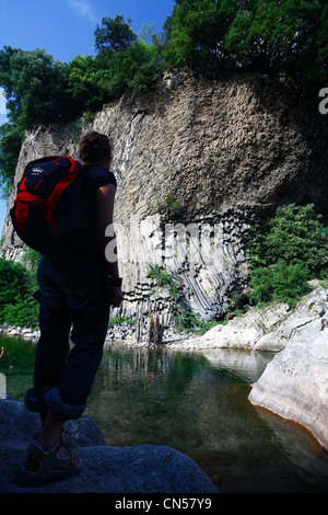 Francia, Ardeche, Massif du Tanargue, Monts d'Ardeche Parco Naturale Regionale, Jaujac, antiche rocce basaltiche lungo il fiume Lignon Foto Stock