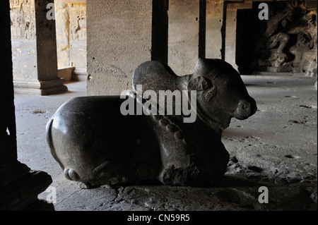 India, stato di Maharastra, Ellora, Grotte di Ellora elencati come patrimonio mondiale dall' UNESCO, gruppo indù, grotta N°15, Nandi (Sacra Foto Stock