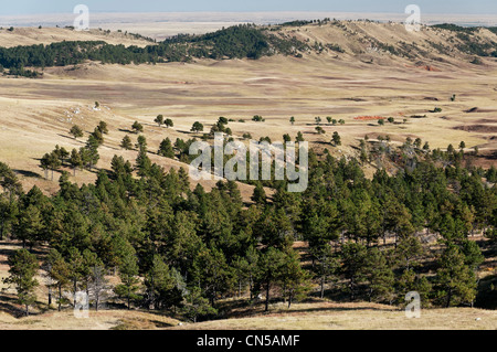 Prateria di rotolamento, Custer County Road 5, parco nazionale della Grotta del Vento, Black Hills, Custer, Dakota del Sud Foto Stock