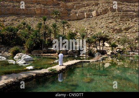 Il sultanato di Oman, Ash Sharqiyah Regione, Wadi Bani Khalid Foto Stock