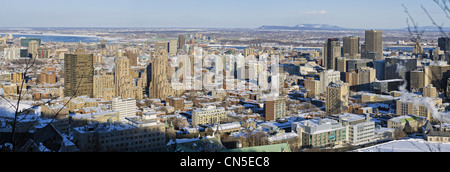 Canada, Provincia di Quebec, Montreal Downtown edifici visto dalla Kondiaronk belvedere sulla sommità del Monte Regio in inverno Foto Stock