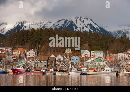 Pacific aringa (Clupea pallasii) sac roe flotta peschereccia riuniranno in Sitka, Alaska porti del. Foto Stock