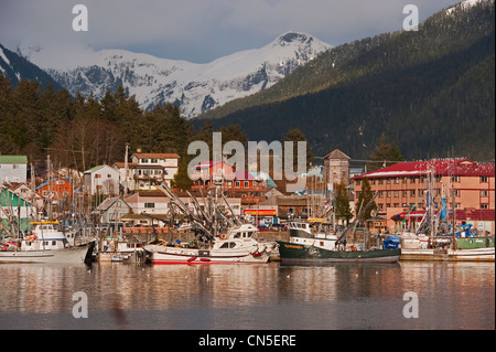 Pacific aringa (Clupea pallasii) sac roe flotta peschereccia riuniranno in Sitka, Alaska porti del. Foto Stock