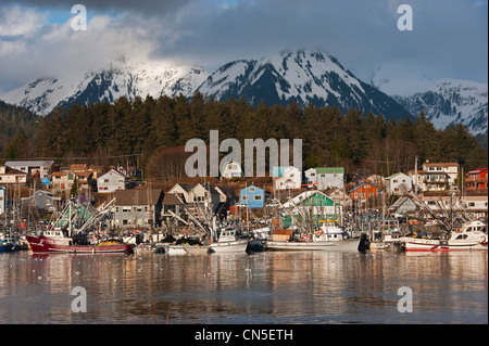 Pacific aringa (Clupea pallasii) sac roe flotta peschereccia riuniranno in Sitka, Alaska porti del. Foto Stock