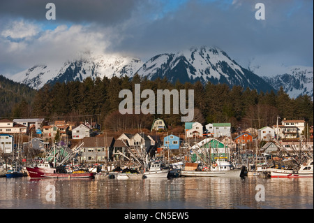 Pacific aringa (Clupea pallasii) sac roe flotta peschereccia riuniranno in Sitka, Alaska porti del. Foto Stock