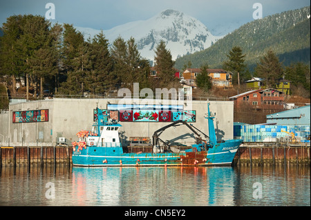 Sac roe aringhe gara ancorato in impianto di trasformazione del pesce Sitka, Alaska, Stati Uniti d'America. Foto Stock