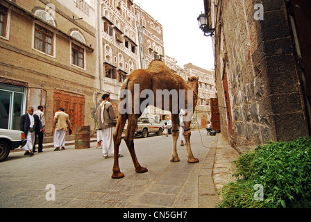 Yemen, Sanaa, old town elencati come patrimonio mondiale dall'UNESCO, la gente camminare sulla strada con il cammello Foto Stock