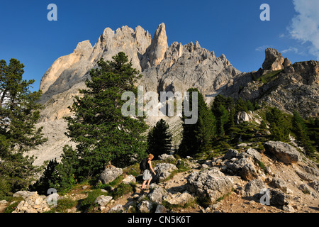 L'Italia, Trentino Alto Adige, provincia autonoma di Bolzano, Dolomiti, nei pressi del Passo Sella, hikking verso il Sassolungo Foto Stock