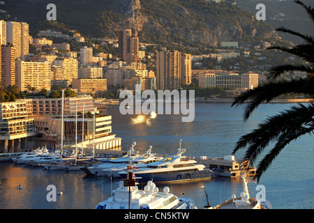 Principato di Monaco, Monaco, La Condamine district, Porto Ercole in area di sfondo Larvotto Foto Stock