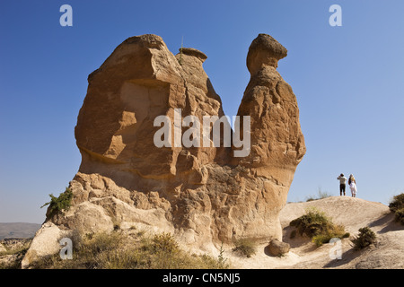 Turchia, Anatolia centrale, Cappadocia, classificato come patrimonio mondiale dall' UNESCO, Uchisar, valle delle rose, formazione di tufo chiamato il cammello Foto Stock