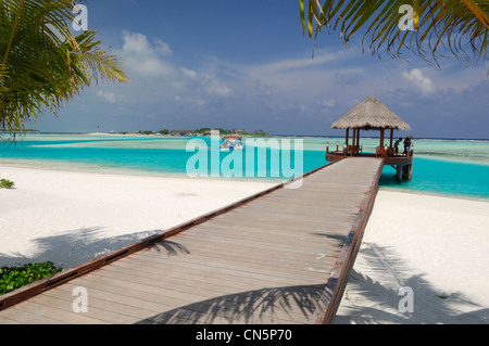 Maldive, South Male Atoll, Dhigu Island, Anantara Resort and Spa Hotel, pontoon in laguna e gli alberi di cocco Foto Stock