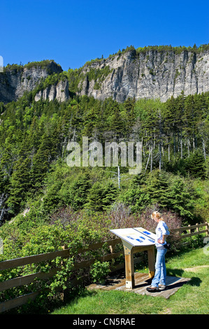 Canada, Provincia di Quebec, Gaspesie, punto di vista nel Parco Nazionale di Forillon Foto Stock