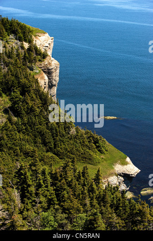 Canada, Provincia di Quebec, Gaspesie, Anse Blanchette Forillon nel parco nazionale situato lungo la St Lawrence river Foto Stock