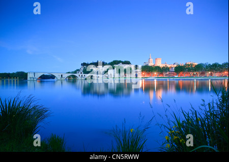 Fiume Rodano Pont St Benezet Avignon Vaucluse Provence Alpes Cote d Azur Francia Foto Stock