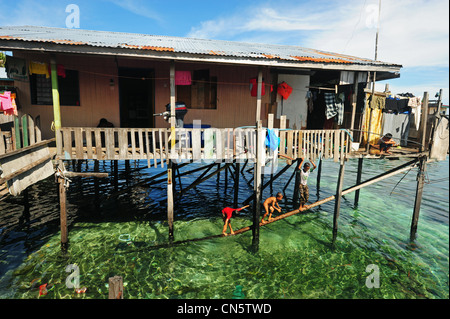 La Malesia, Borneo Sabah Stato, Semporna, Mabul, Dayak Lau (zingari del mare) a giocare e saltare in acqua verde Foto Stock