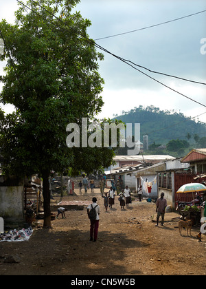 In Camerun, caratteristica: Camerun, un tour di pepe Foto Stock