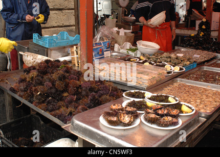 Ricci di mare oltre il mercato del contatore, Catania, Italia Foto Stock