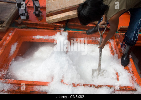 Barche da pesca legare a Lamsai comunità per raccogliere il ghiaccio tritato prima di dirigersi verso il mare aperto, Songkhla, Thailandia Foto Stock