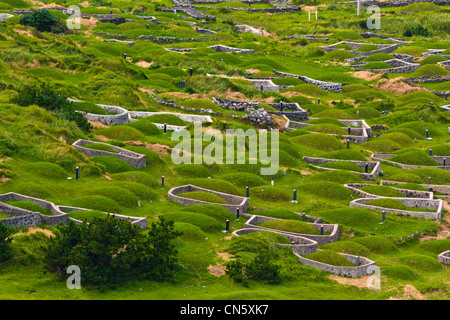 Corea del Sud, Provincia di Jeju, U Isola, tombe Foto Stock