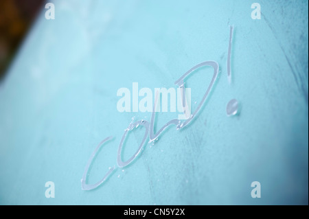 La parola scritta a freddo su un pupazzo di neve con parabrezza auto Foto Stock