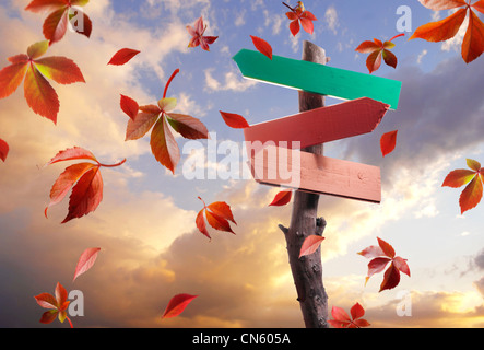La caduta di foglie di autunno e di un cartello in legno per tipo Foto Stock