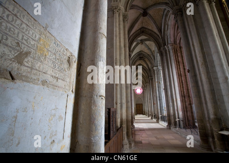 Francia, Isere, St Antoine l'Abbaye, denominata Les Plus Beaux Villages de France (i più bei villaggi di Francia), all'interno Foto Stock