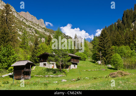 Francia, Haute Savoie, il Massiccio del Monte Bianco, argentiere, borgo Trelechamp Foto Stock